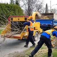 Prochaine collecte de branches : semaine du 12 avril