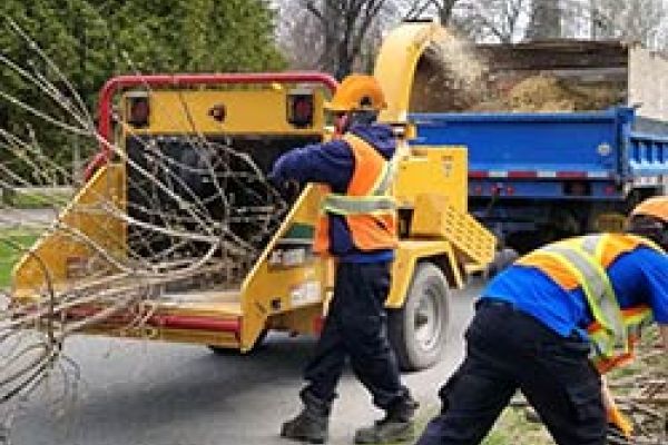 Prochaine collecte de branches : semaine du 12 avril