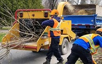 Prochaine collecte de branches : semaine du 12 avril