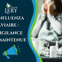 Influenza  aviaire :  vigilance maintenue
